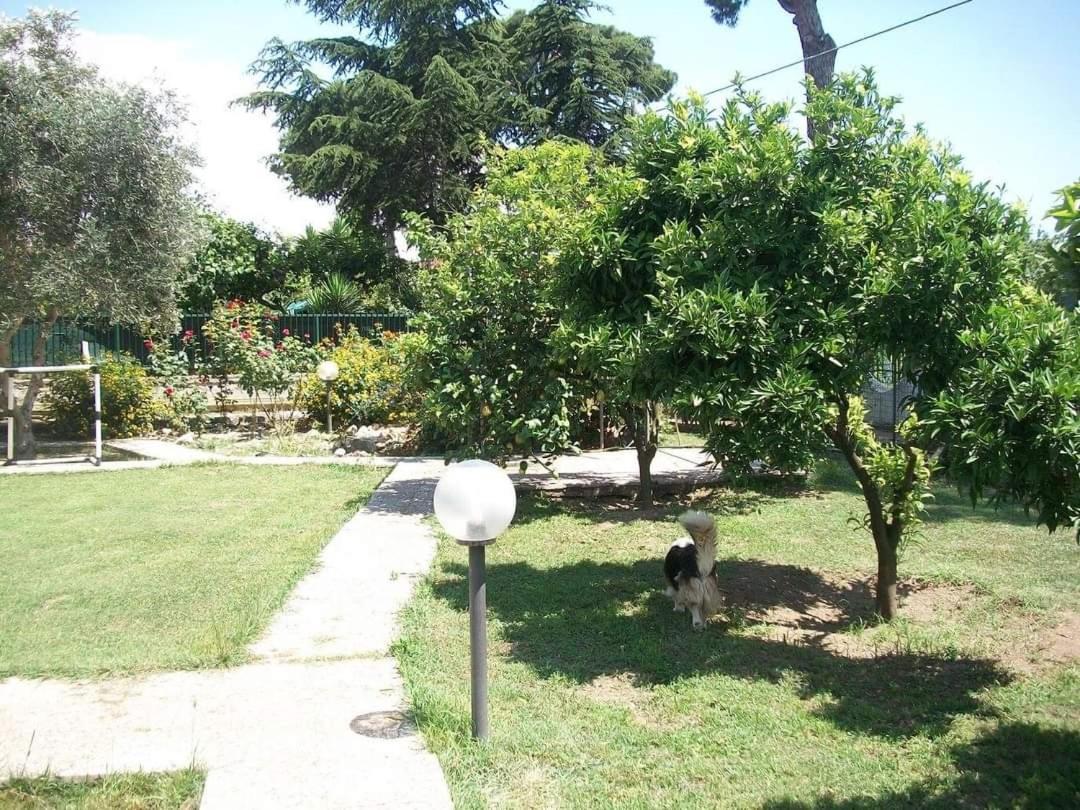 Il Giardino Degli Ulivi Apartment Giugliano In Campania Ngoại thất bức ảnh