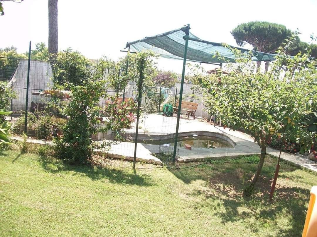 Il Giardino Degli Ulivi Apartment Giugliano In Campania Ngoại thất bức ảnh
